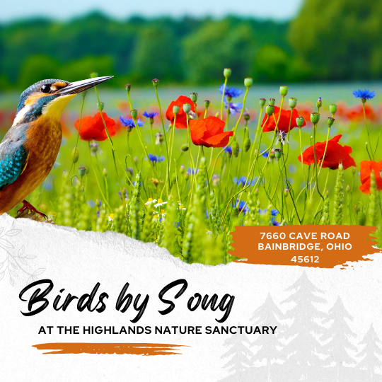 Birds by Song 