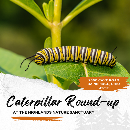 Caterpillar Round-up