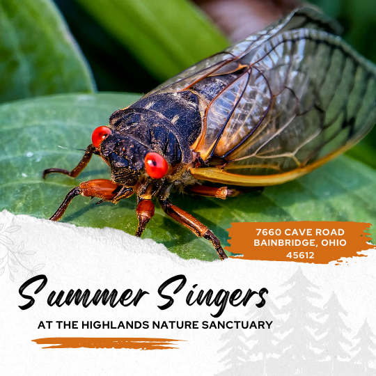 Summer Singers