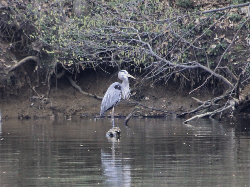 Bird Observation Trail at Rocky Fork State Park