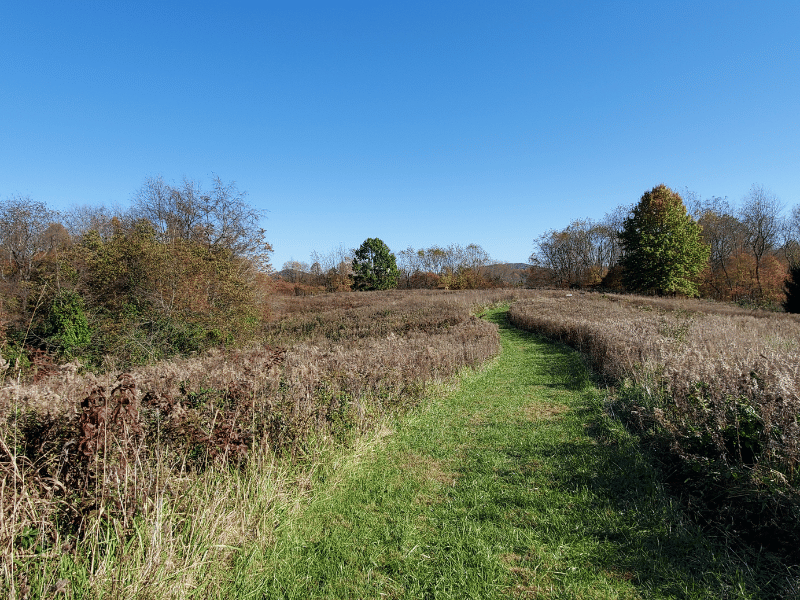 Buttonbush Trail