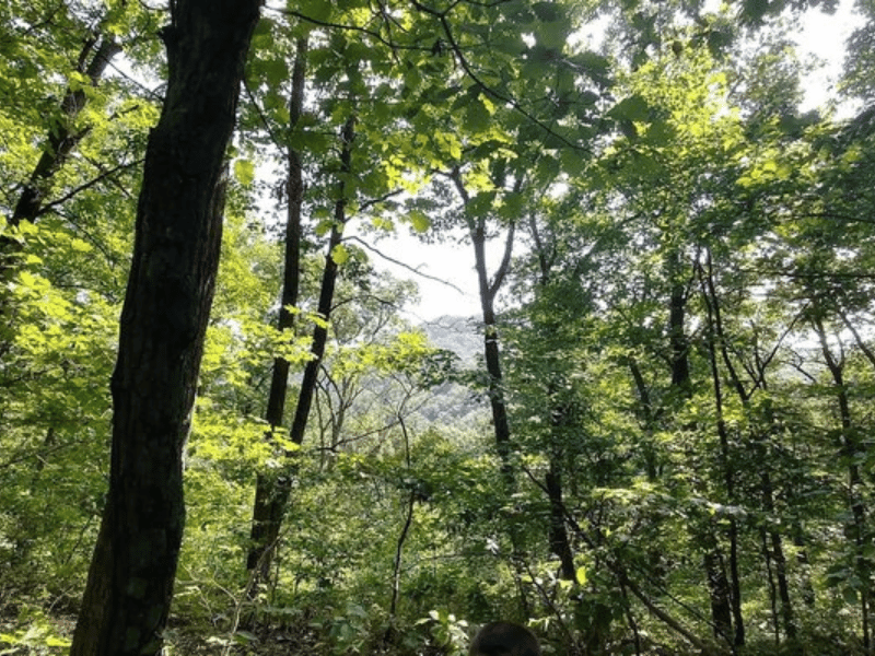 Canby's Mountain Lovers Trail