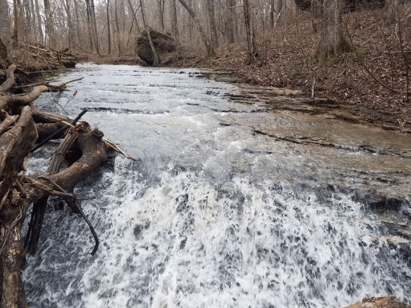 Cedar Run Trail