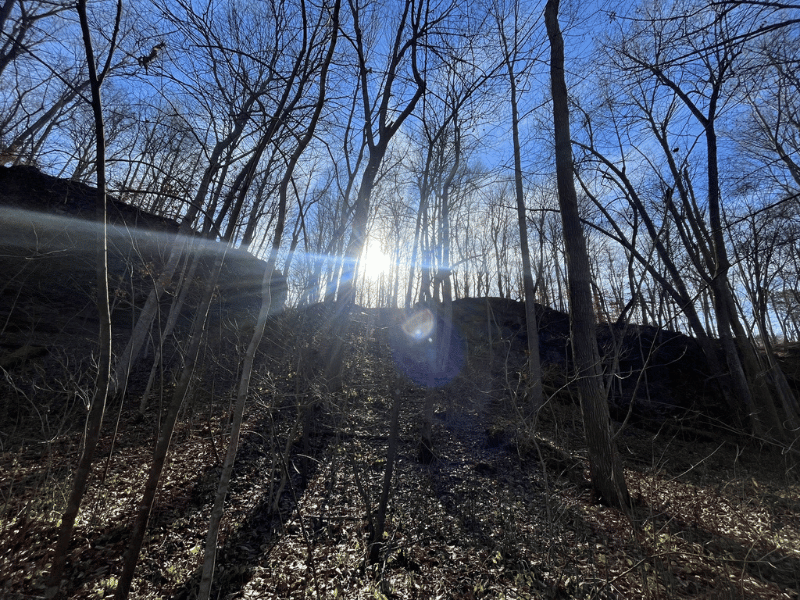 Eagle's Aerie Trail Loop