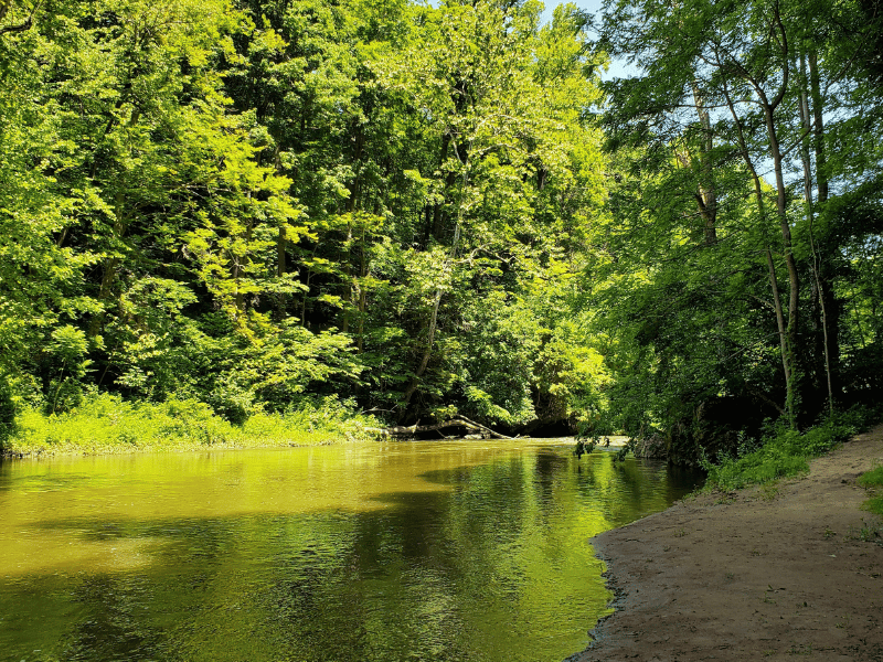 Etawah Woods Trail