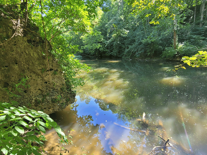 Falls Trail