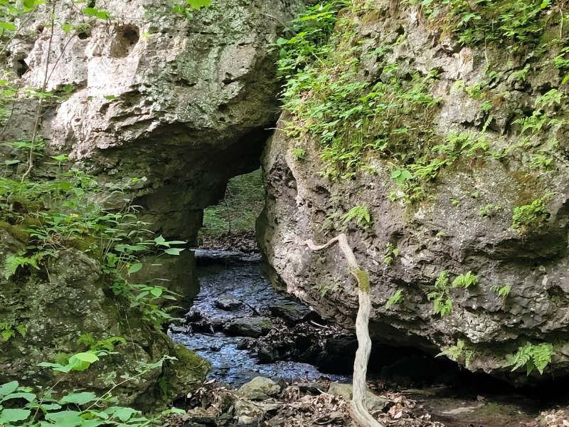 Gorge Trail at Fort Hill Nature Preserve