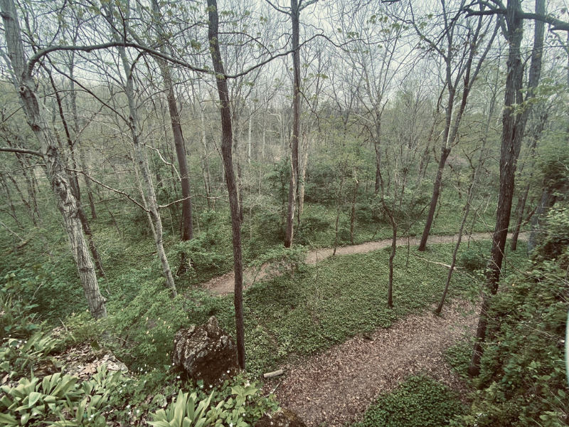 Harmony Trail at Paint Creek State Park