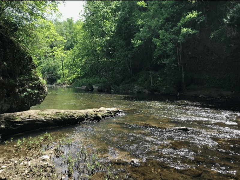 Kamelands Trailhead