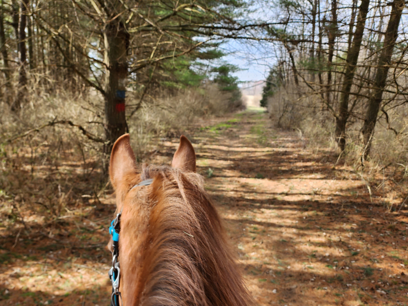 South Loop Bridle Trail at Paint Creek State Park