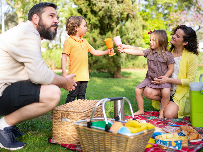 Picnicking at Rocky Fork State Park