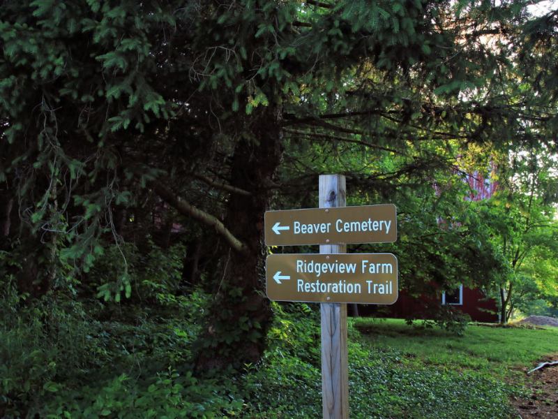 Ridgeview Farm Restoration Trail