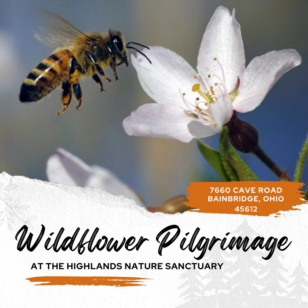 Wildflower Pilgrimage at Highlands Nature Sanctuary