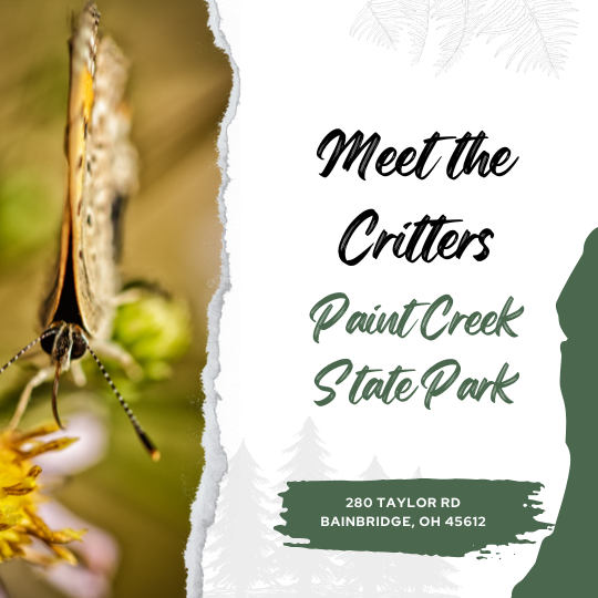 Meet the Critters- Paint Creek