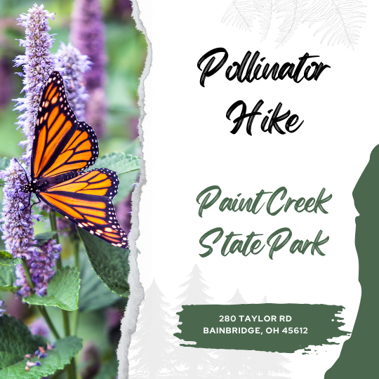 Pollinator Hike- Paint Creek
