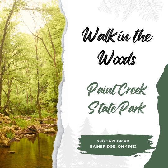 Walk in the Woods - Paint Creek