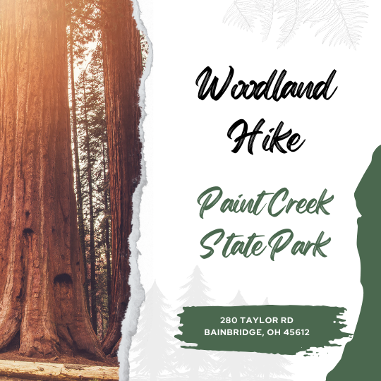 Woodland Hike - Paint Creek